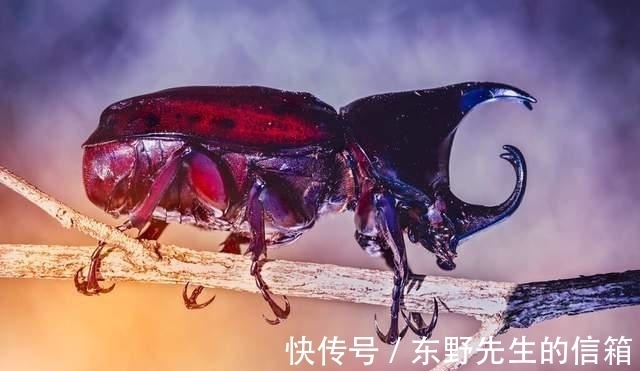 蛊术@8本已完结炼蛊类小说,见识苗疆蛊术文化,跟主角走入蛊虫世界