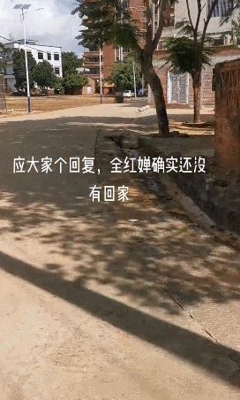 游乐园|全红婵最新消息！曝未回到家里，村口全天设卡检查，不让外人进村