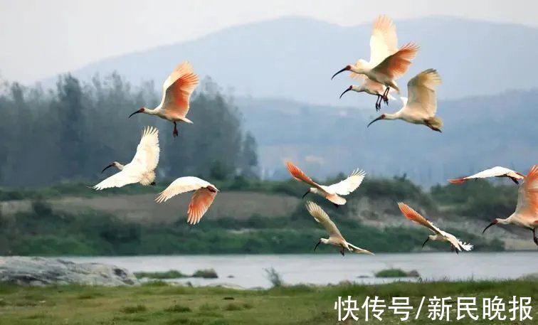 上海博物馆|10月29日·上海要闻及抗击肺炎快报