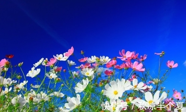 生肖|10月15日开始,吉星照耀,财源滚滚,好事接连不断,生活美满