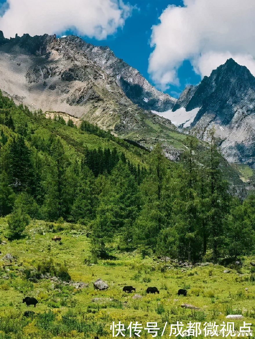 tr放慢脚步，跟着许巍的歌去四姑娘山旅行