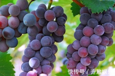 美容养颜|中年人要多吃3种食物,美容养颜、滋润肌肤,好处多多!