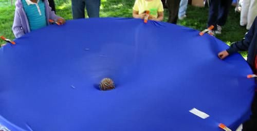 重力是什么？它从何而来？