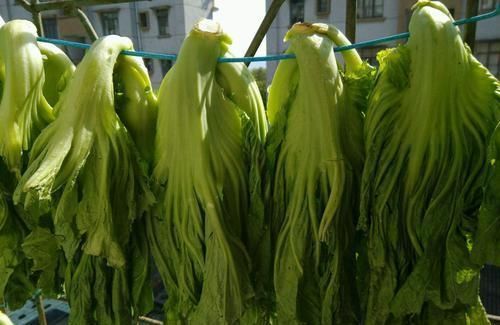 好吃|农村有一种菜能长到一米五高,下霜之后更好吃,你们那里叫啥呢?