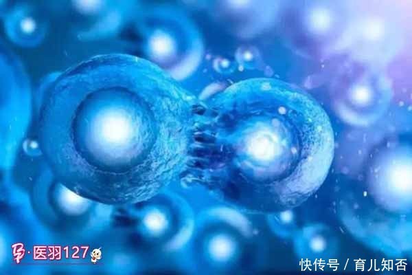 医羽:糖尿病新式治疗手段或将彻底治愈糖尿病!