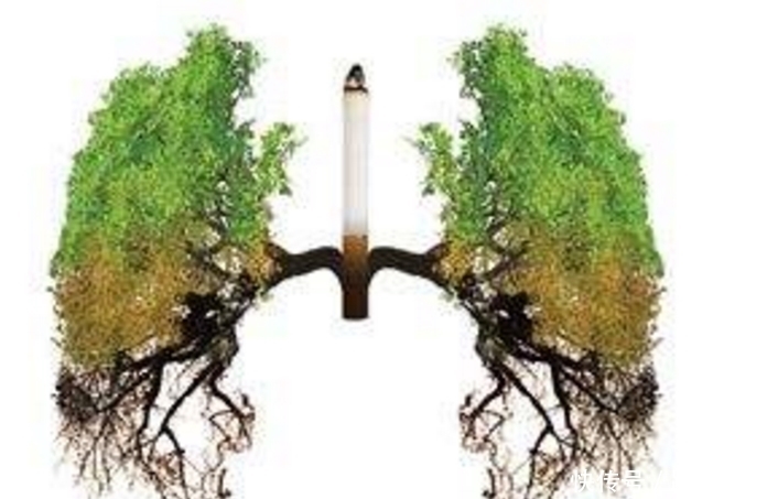 鱼腥草|尼古丁有3个“仇敌”,常吸烟的人多吃,或许能助你肺部干干净净