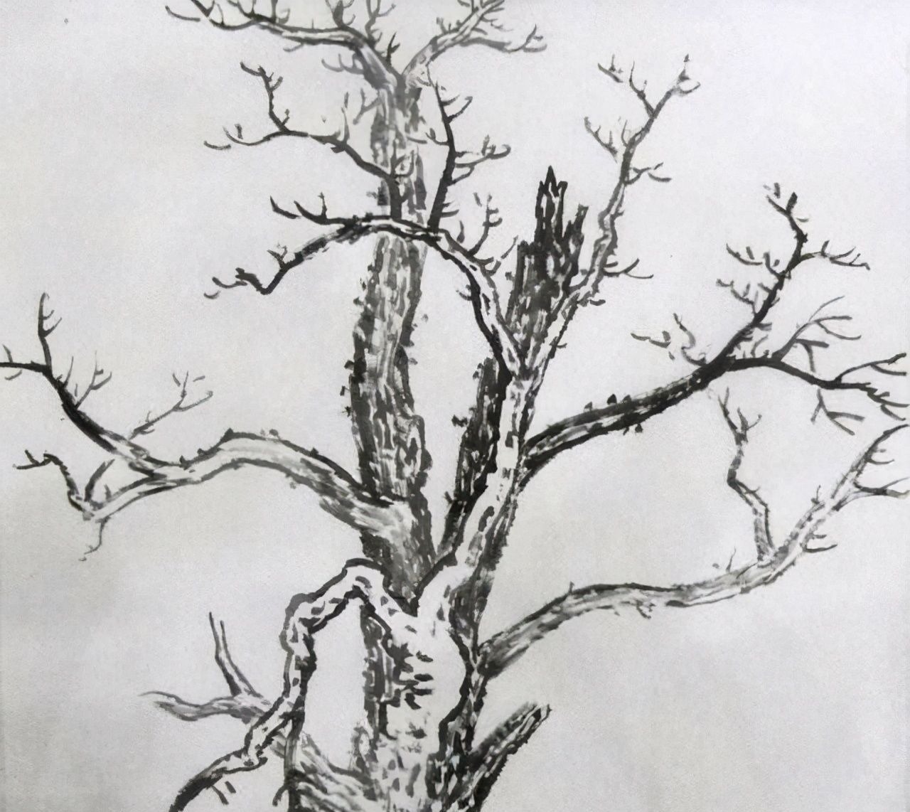 竹林!中国画如何画松树、丛树、柳树、竹林,中国画树的画法大全