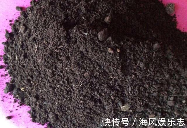有机肥|养花用什么土好这样“用土”,土不板结,茁壮生长,开花很旺