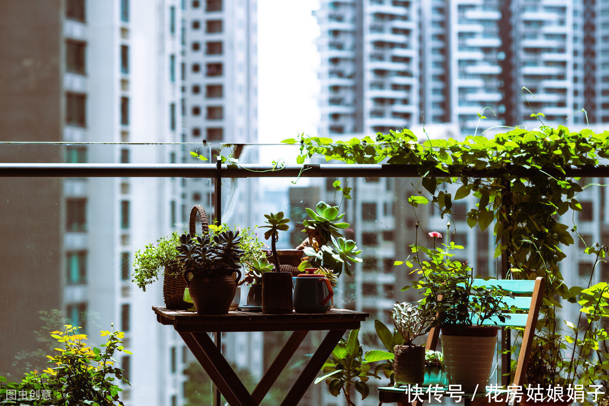 阳台|阳台养殖盆景花卉,7个原则要遵守,才能花开满阳台