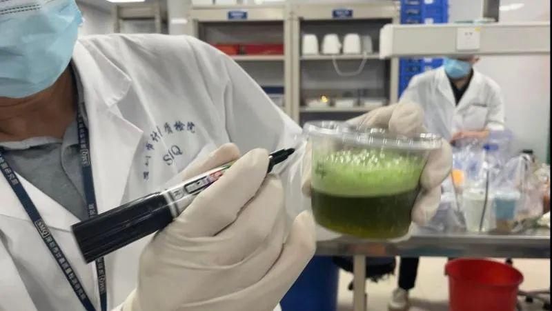 伤害|很多人爱喝的“网红茶饮”出事了！多家店被查，或对肝脏造成伤害