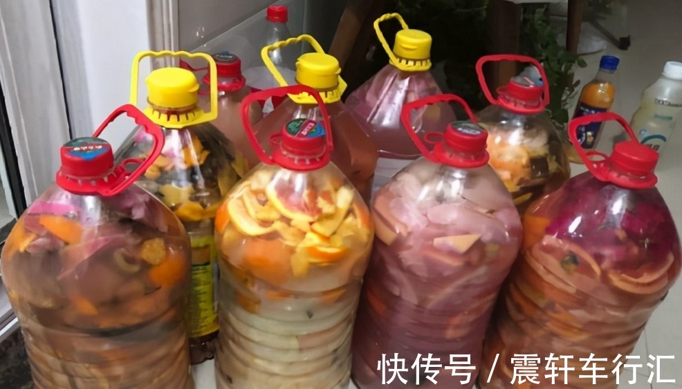 发酵|拿果皮肥养花,想出个好结果,制作和使用时不能遗漏这些细节