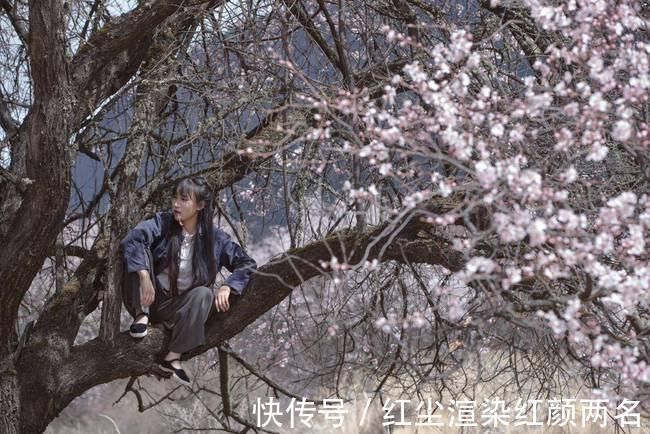 故事|李子柒拍摄过程发生惊险一幕，助理讲述视频之外的故事