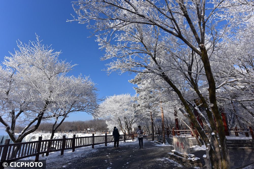 美景|黑龙江牡丹江：雾凇美景醉游人