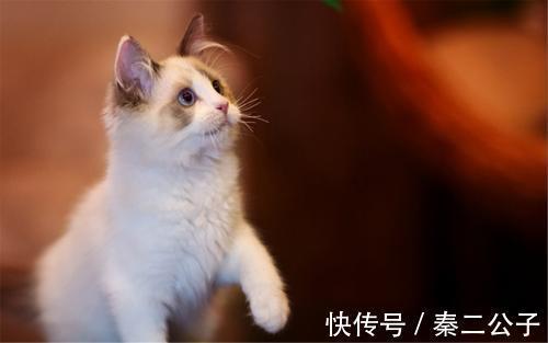 |幽默笑话:年终奖终于发了下来,看着手里的钱,果断到银行存起来