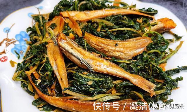 宝贝|很多人只吃果肉，其实叶子才是宝贝，多捡些回家，一晒一烀，真香