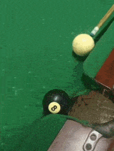 |搞笑GIF段子:这马是几缸的,动力十足呀