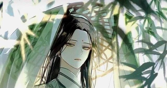 沈清秋@谢怜喜欢捡小孩回家养,羡羡喜欢捡动物回家,沈老师只养他自己