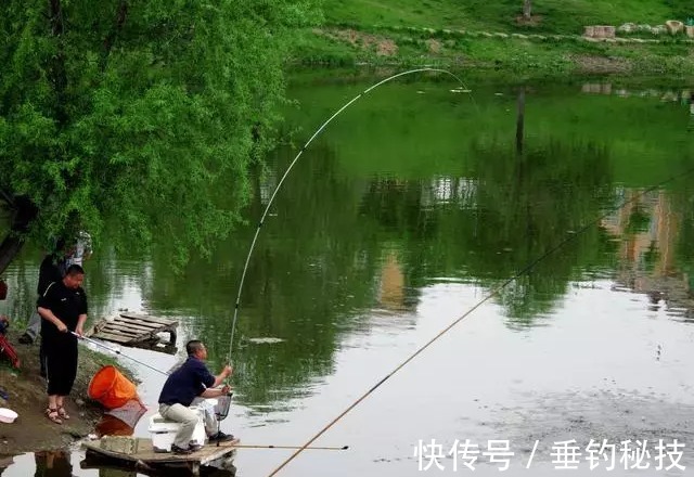 垂钓|垂钓过程中，浮漂出现送漂老是打不到鱼口，问题可能出在这