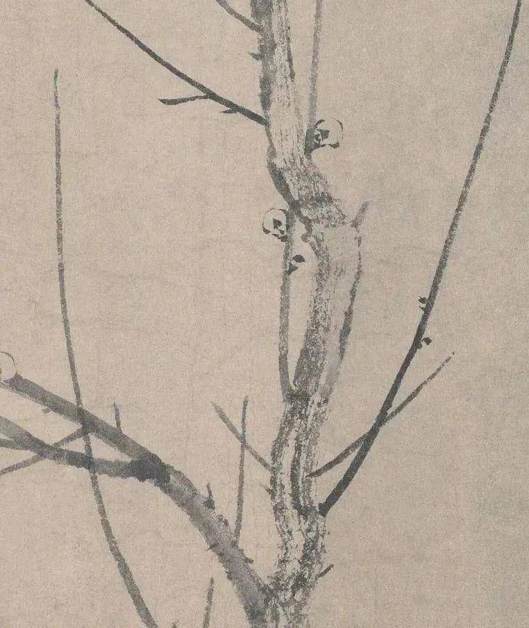 鉴赏$鉴赏|一“简”梅,极尽朴素的美