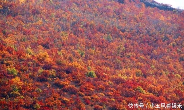 「聚焦」｜索博日嘎镇金秋美景为祖国庆生