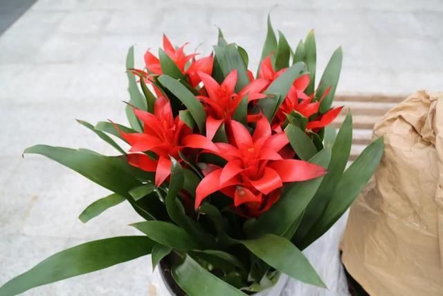 又一打卡地!快来长春农博园赏美景、购好物