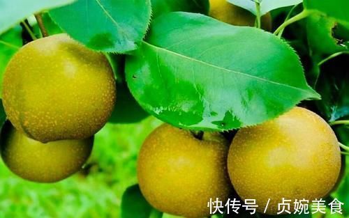 食物|人到中年，推荐常吃3种食物，养肝排毒，补益气血，改善体质