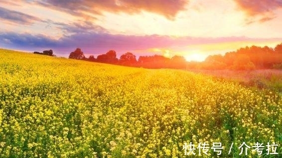 官运亨通,可升职加薪,事业成功,万事如意