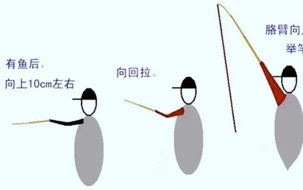 钓一条跑一条，很犯愁？老钓鱼人传授你4招，渔获翻几倍都没问题