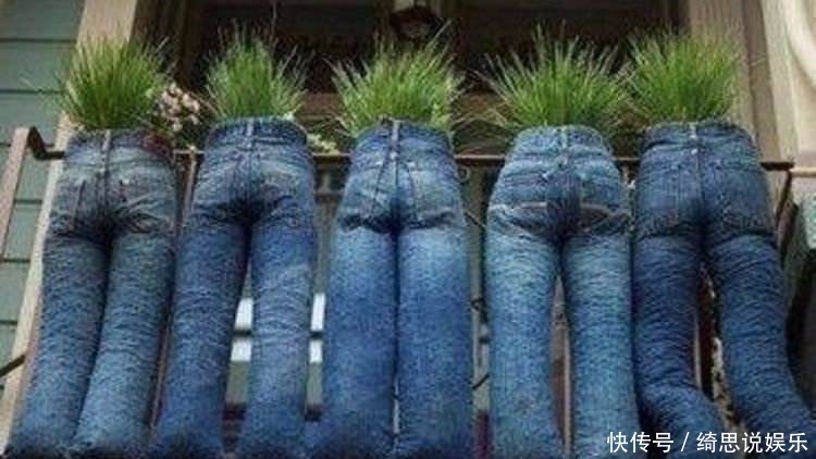 他用这东西养花,把半夜踩点的小偷吓半死,长势旺到不行!