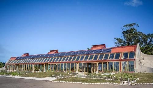 eco 人类为了拯救受伤地球所进行的13个项目