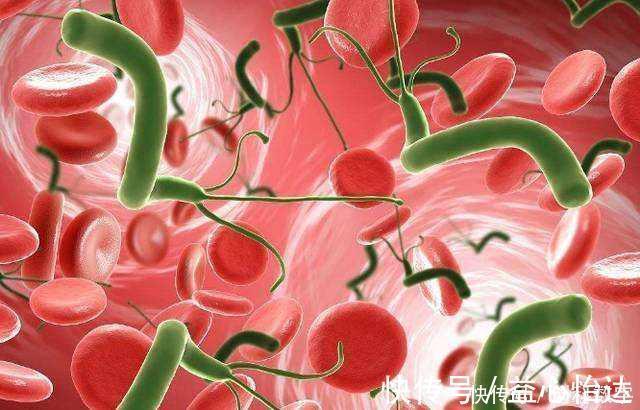 虫子|幽门螺杆菌最怕不是“大蒜”，而是这1物，经常吃，胃会感谢你