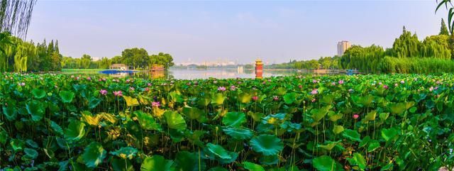 大明湖|高考季来了！你知道过去济南人的“高考”在哪考吗？