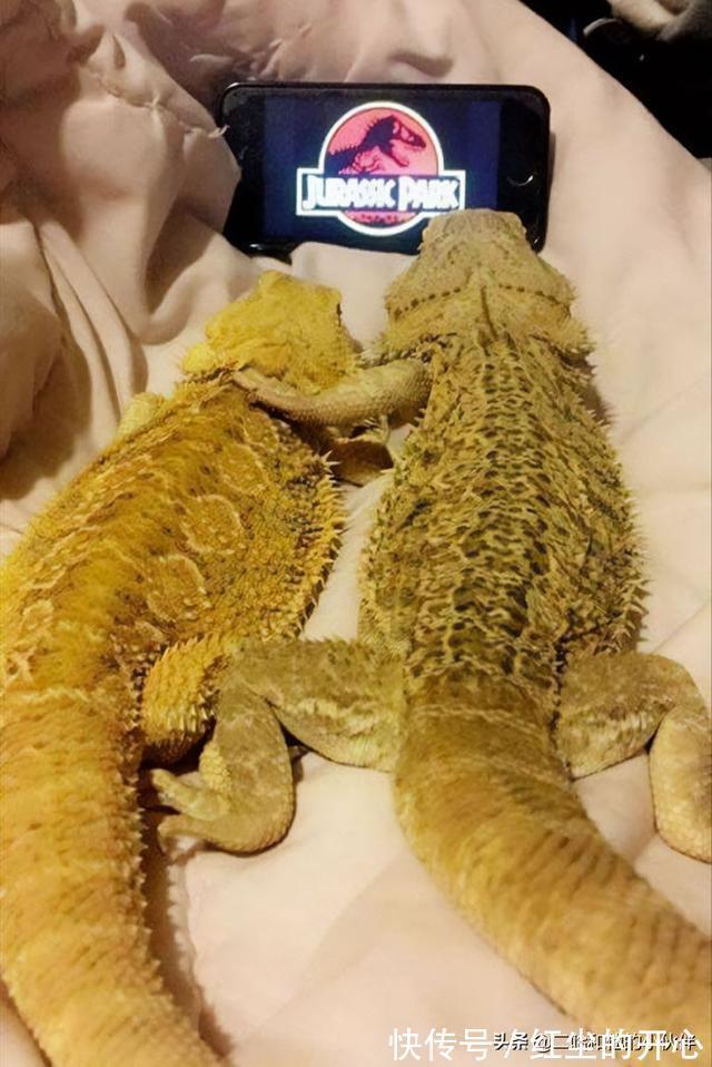 |网友分享的25个奇怪而搞笑的事情,你看过几件?