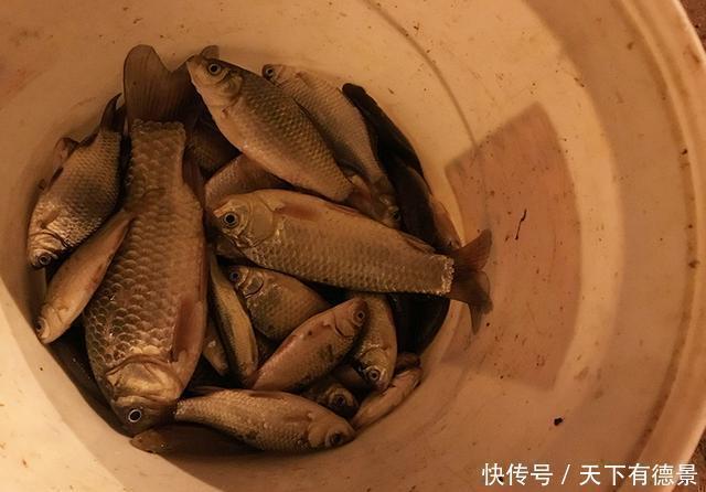 盘点钓鱼当中,让新手钓友比较头疼的问题