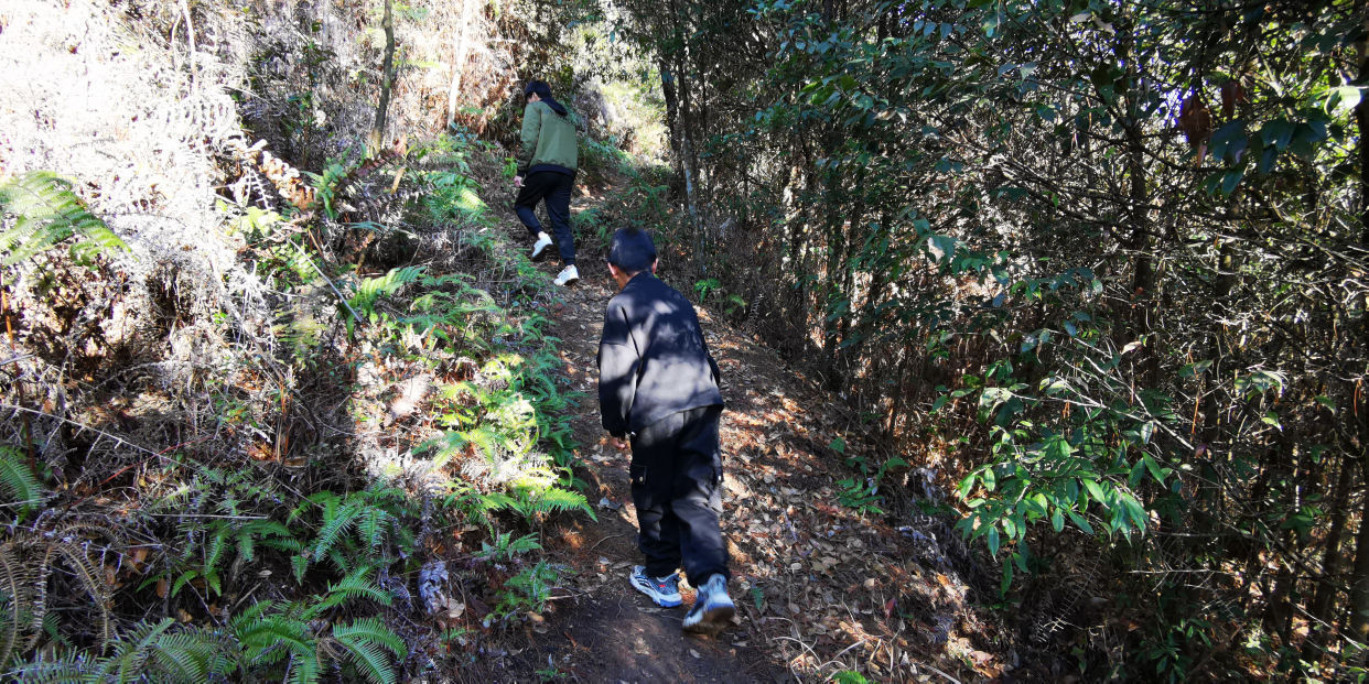 罗经石|福建深山发现巨大蘑菇石，每天几千人爬山来看，到底长什么样？