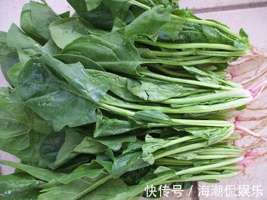 草酸|常吃菠菜的人，身体不会差，但切忌与一物同食，却很多人不清楚