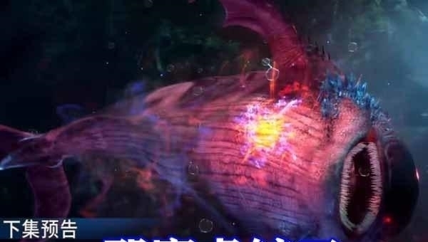 小白|斗罗大陆:鲸鲨之战一触即发,邪魔虎鲸碾压魔魂鲨,小白弟弟战死!