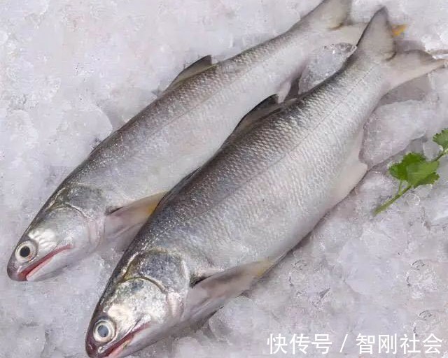 马友鱼|这鱼是鱼中精品,口感鲜香嫩滑,鱼刺少营养高,老人小孩宜多吃