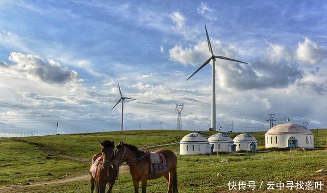 客人|江湖上流传着内蒙人特能喝酒的传说,其实,这并不是一个传说