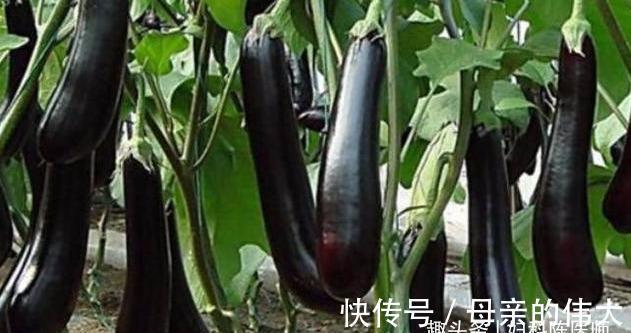 陈医师|女性想要皮肤好,要学会吃三种食物,排毒养颜,增强体质