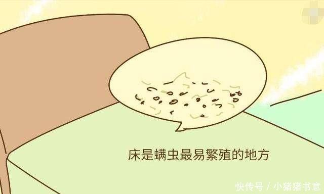 床垫|床垫用久了成螨虫窝,老人家都用这种土方法,立马把螨虫杀干净