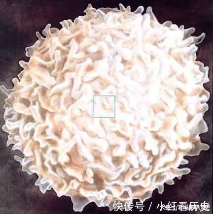 把我们的皮肤放大一亿倍,最后“超乎想象”