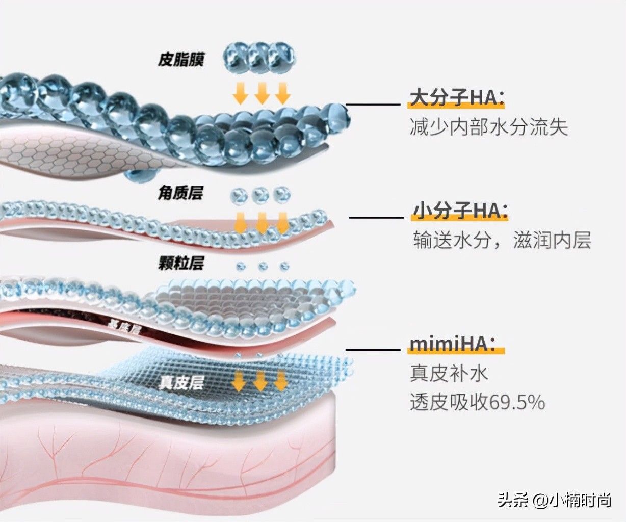 华熙|深度解析皮肤问题，用科学方法给你的年龄加点“水分”