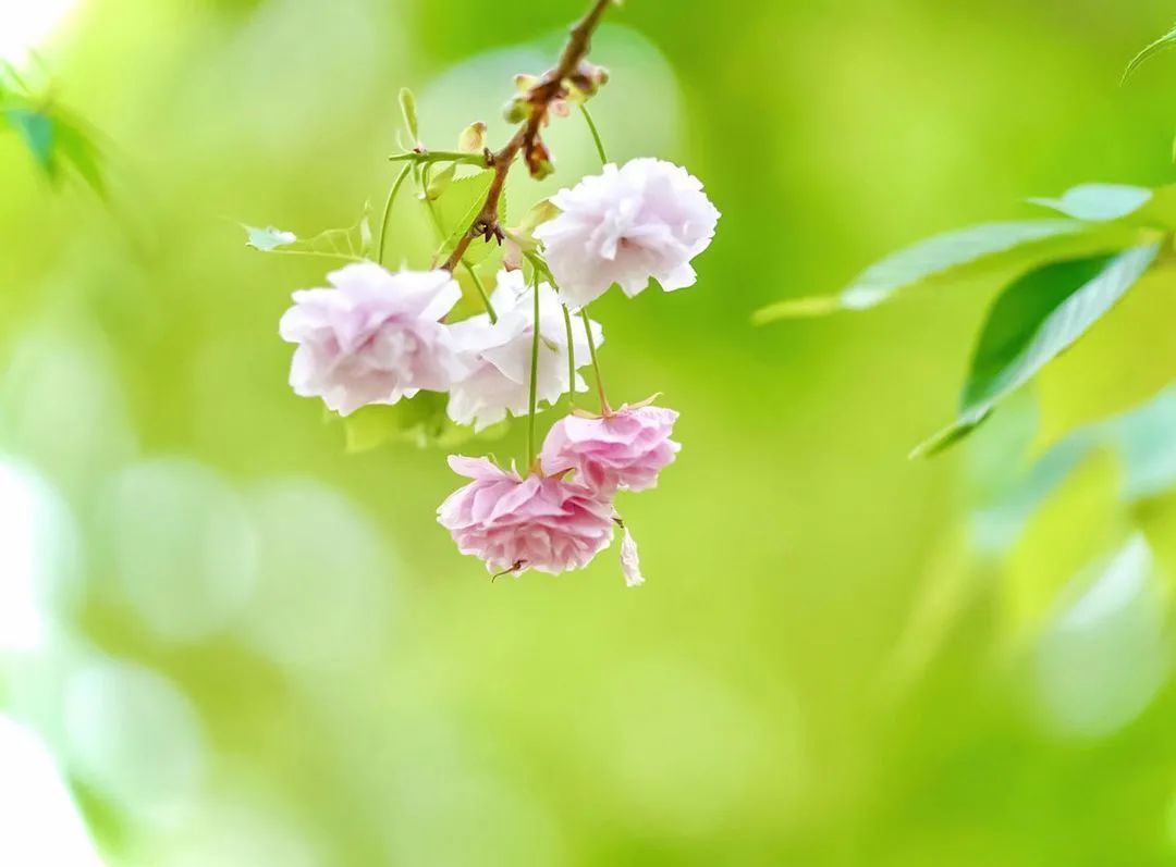 荐读|荐读——人生的最高境界,就一个字:给!