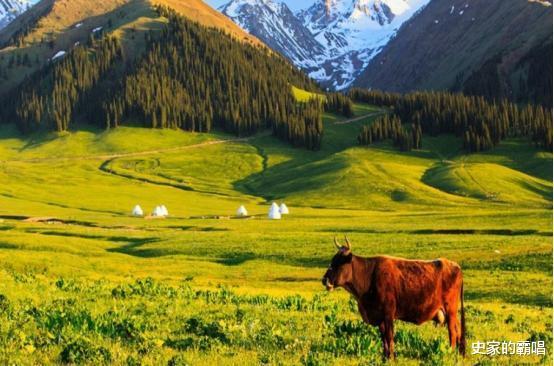 艺术创作|白居易写的“离离原上草”,“离离”究竟啥意思你可能并不知道