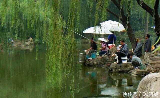 晚春钓鱼的秘诀，做到四钓四不钓，大鱼小鱼都能钓