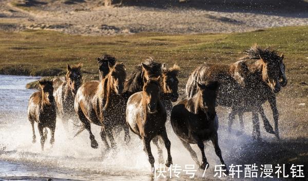 三大生肖|10月开始，摆脱困境，咸鱼翻身，再苦也能闯出名堂的三大生肖