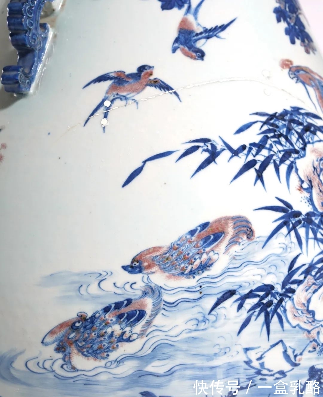 鱼藻纹&君一明十·郑重其瓷|青花 & 釉里红精品选粹