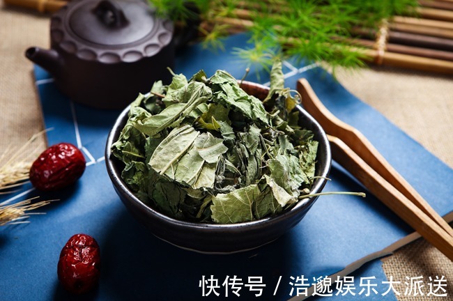 丹溪心法|桑叶是个宝,霜打的桑叶为神仙草!如何吃,功效最佳