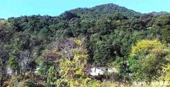 发现深山老林的无人村,这里却是风景优美,青山绿水